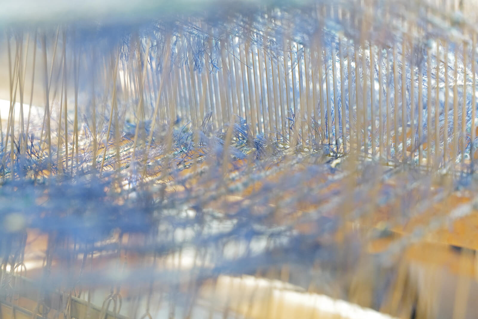 home page our heritage 1